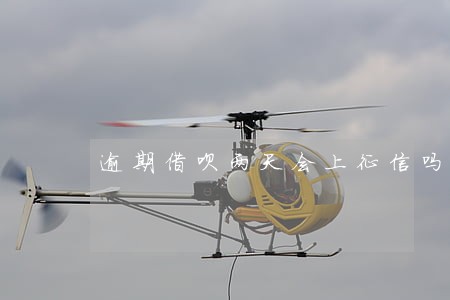 逾期借呗两天会上征信吗 逾期借呗两天会上征信吗