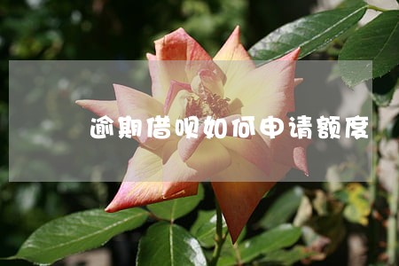 逾期借呗如何申请额度 逾期借呗如何申请额度