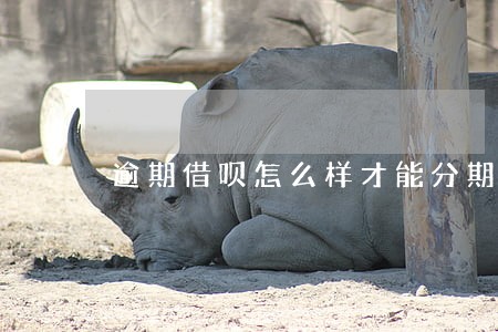 逾期借呗怎么样才能分期 逾期借呗怎么样才能分期