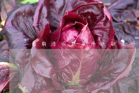逾期借呗额度降低额度吗 逾期借呗额度降低额度吗
