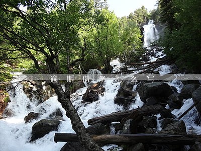 逾期借条怎么写