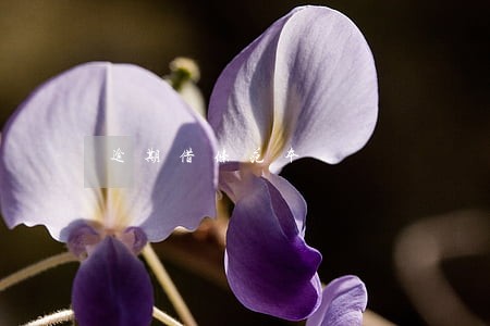 逾期借条范本 逾期借条范本