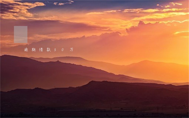 逾期借款50万 逾期借款50万