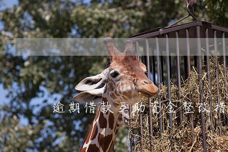 逾期借款互助资金整改措施 逾期借款互助资金整改措施