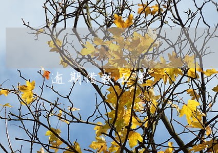逾期借款五年 逾期借款五年