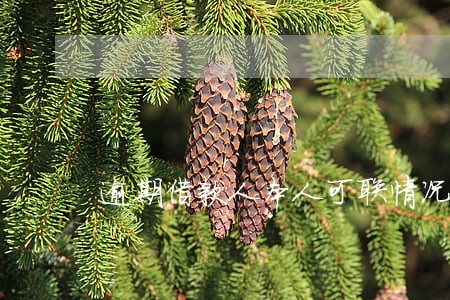 逾期借款人本人可联情况下