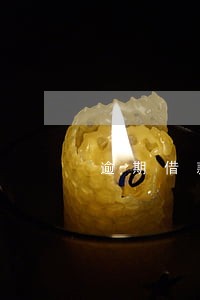 逾期借款代偿结清证明 逾期借款代偿结清证明