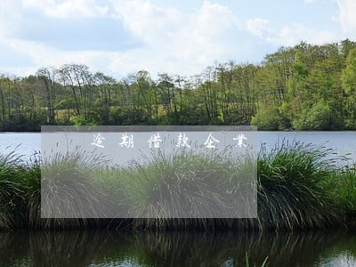 逾期借款企业 逾期借款企业