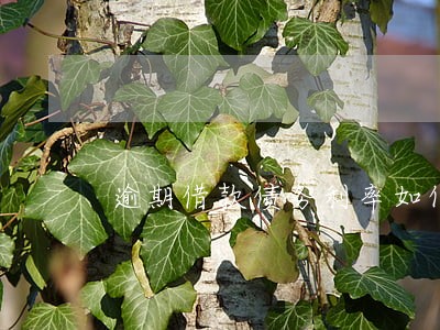逾期借款债务利率如何计算