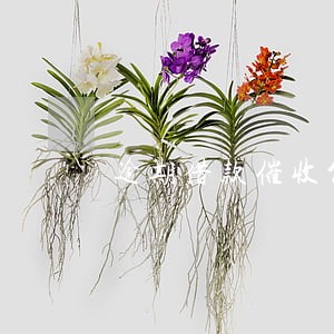 逾期借款催收公告34期 逾期借款催收公告34期