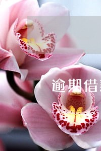 逾期借款催收公告是谁发的