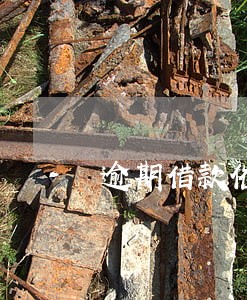 逾期借款催收公告高集团 逾期借款催收公告高集团