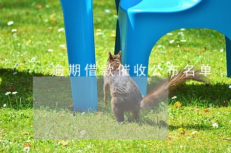 逾期借款催收公布名单 逾期借款催收公布名单