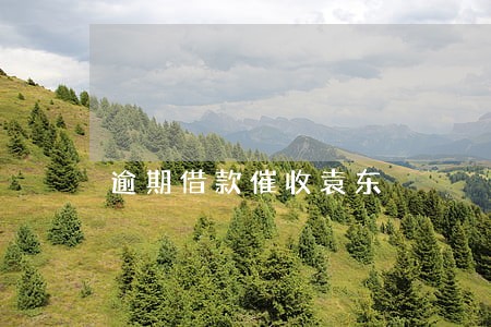 逾期借款催收袁东 逾期借款催收袁东