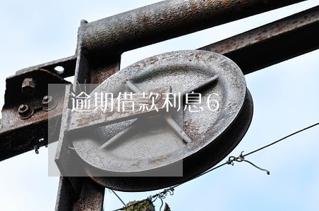 逾期借款利息6