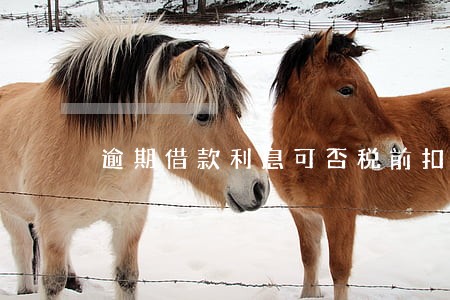 逾期借款利息可否税前扣除 逾期借款利息可否税前扣除