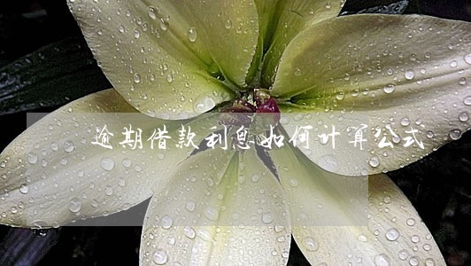 逾期借款利息如何计算公式 逾期借款利息如何计算公式