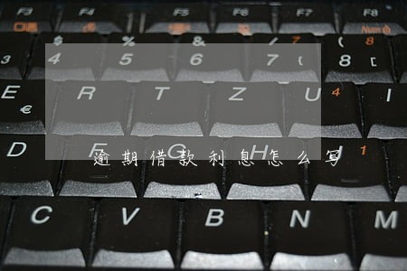 逾期借款利息怎么写