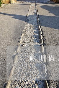 逾期借款利息收入的确认 逾期借款利息收入的确认