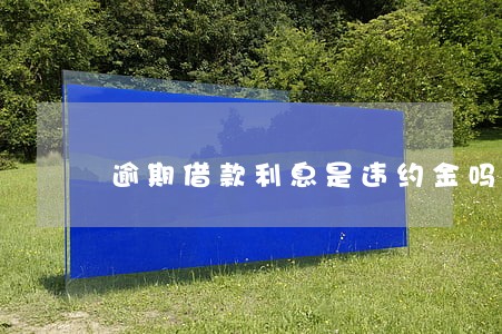 逾期借款利息是违约金吗 逾期借款利息是违约金吗