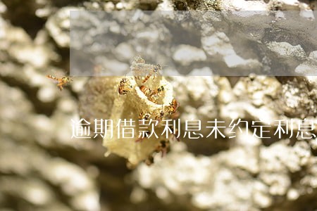 逾期借款利息未约定利息