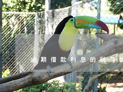 逾期借款利息的税务处理 逾期借款利息的税务处理