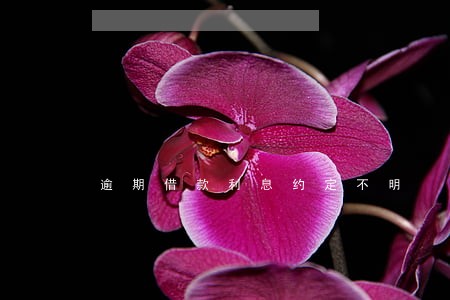 逾期借款利息约定不明