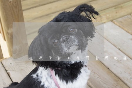 逾期借款利息罚金调整递延么