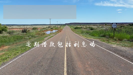 逾期借款包括利息吗 逾期借款包括利息吗