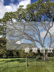 逾期借款十大app排行榜