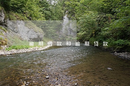逾期借款和逾期贷款 逾期借款和逾期贷款