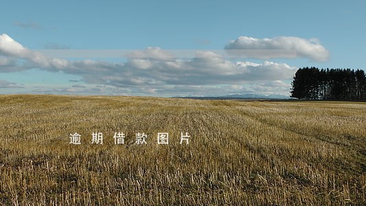 逾期借款图片 逾期借款图片