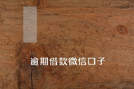 逾期借款微信口子