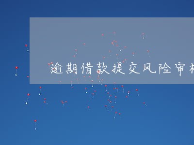 逾期借款提交风险审核