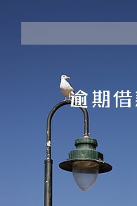 逾期借款是指 逾期借款是指