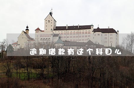 逾期借款有这个科目么 逾期借款有这个科目么