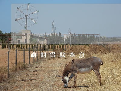 逾期借款本息 逾期借款本息