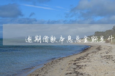 逾期借款本息总金额是什么意思