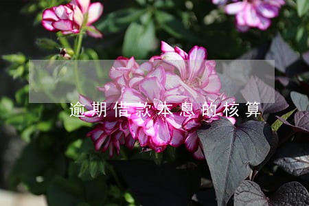 逾期借款本息的核算 逾期借款本息的核算