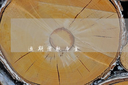 逾期借款本金