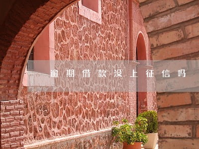 逾期借款没上征信吗 逾期借款没上征信吗