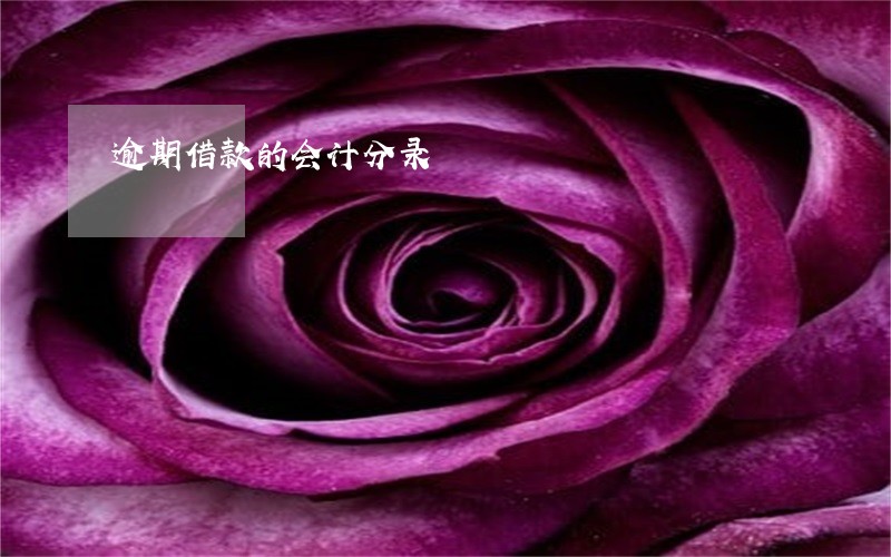 逾期借款的会计分录