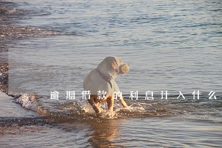 逾期借款的利息计入什么科目 逾期借款的利息计入什么科目