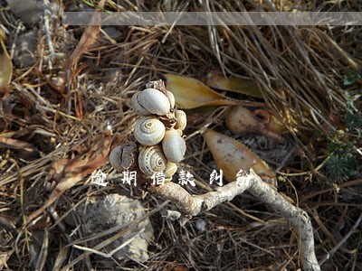逾期借款纠纷 逾期借款纠纷