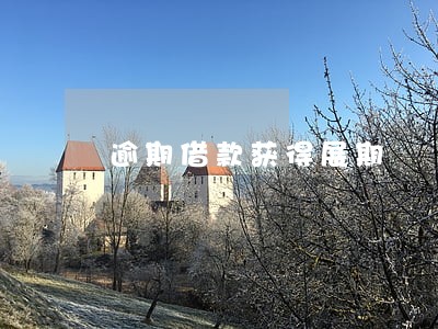 逾期借款获得展期 逾期借款获得展期