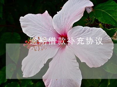 逾期借款补充协议 逾期借款补充协议