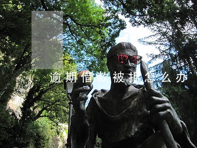 逾期借款被拒怎么办 逾期借款被拒怎么办