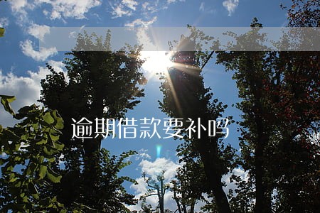 逾期借款要补吗 逾期借款要补吗