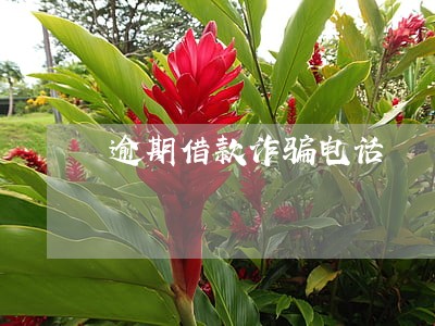 逾期借款诈骗电话 逾期借款诈骗电话