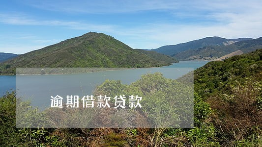 逾期借款贷款 逾期借款贷款